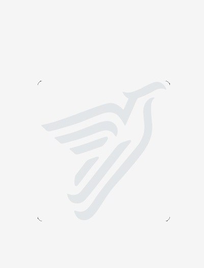 Website placeholder roster and staff